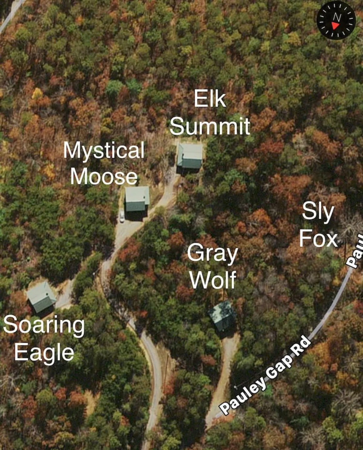 This exterior image of multiple cabins, including the Mystical Moose cabin, nestled among trees and mountains, reinforces the sense of community, tranquility, and access to nature. The cabins are set in a serene landscape, perfect for wildlife watching and making memories together.